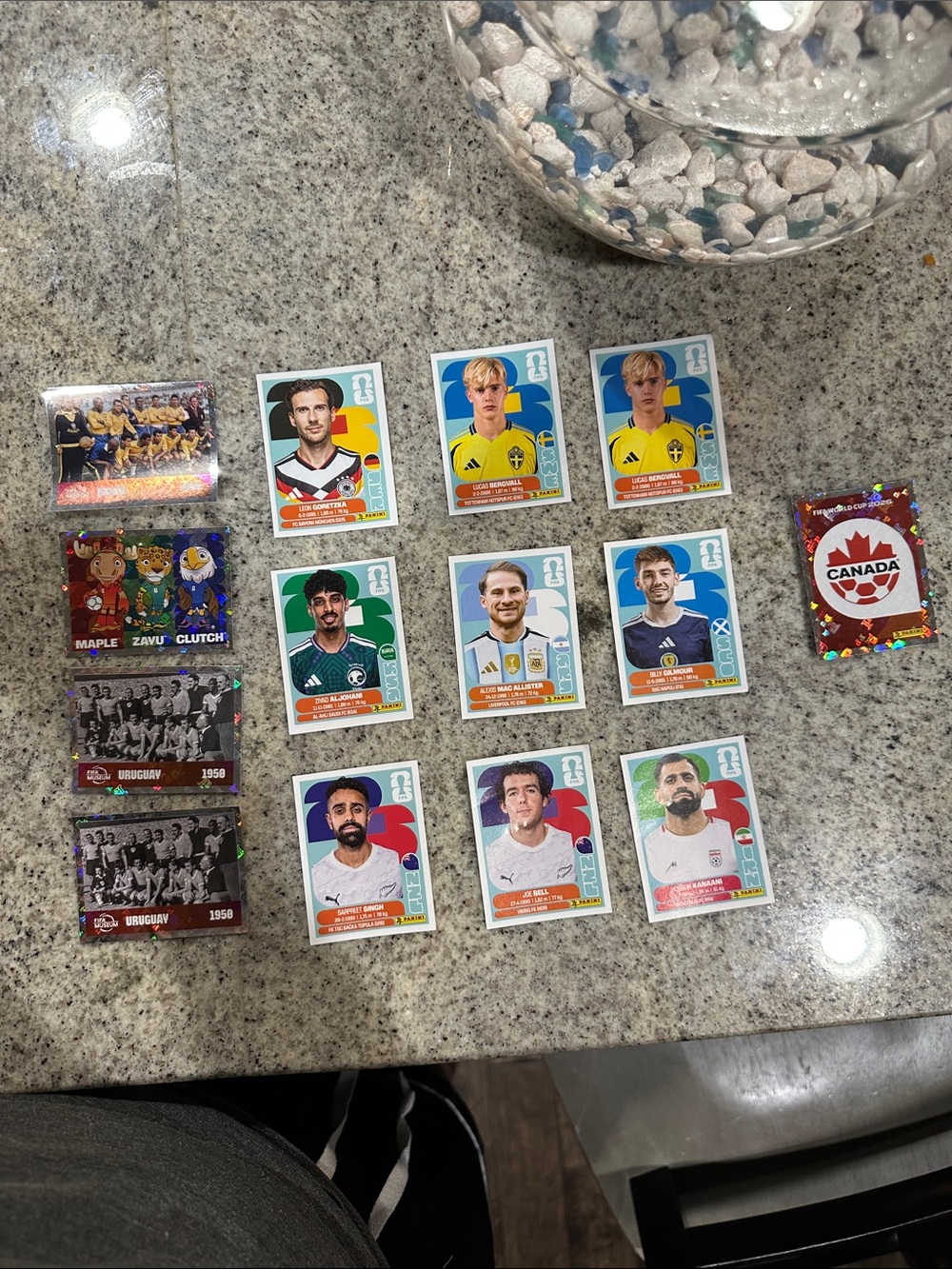 Panini FIFA World Cup 2026 Soccer Sticker Collection